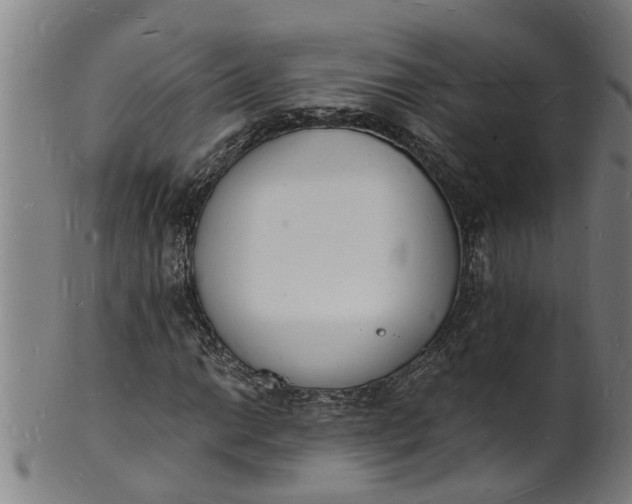 X0000101671014200807241435