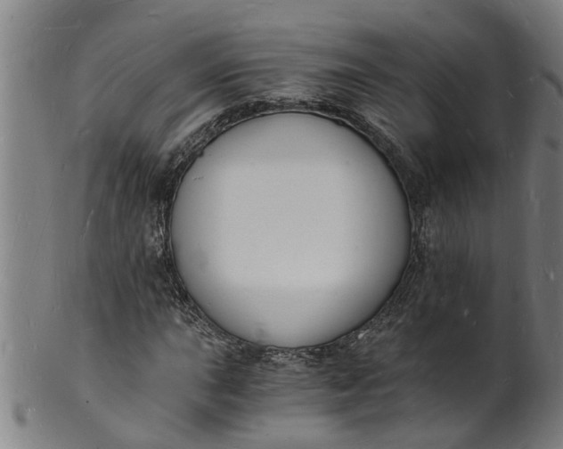 X0000101671015200807241435