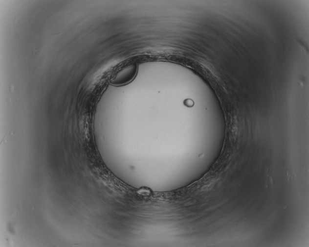 X0000101671016200807241435