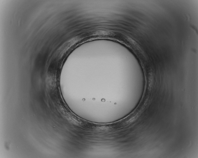 X0000101671017200807241435