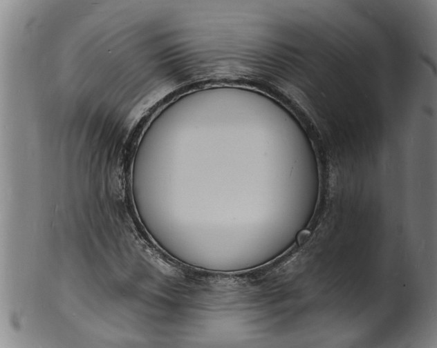 X0000101671018200807241435