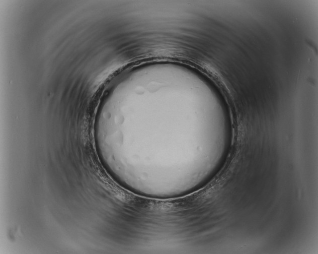 X0000101671019200807241435