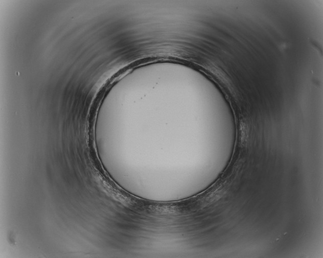 X0000101671020200807241435