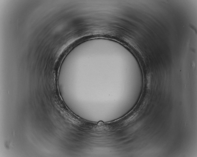 X0000101671021200807241435