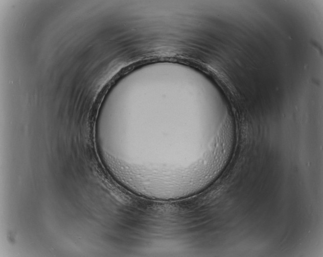 X0000101671023200807241435