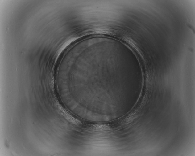 X0000101671024200807241435