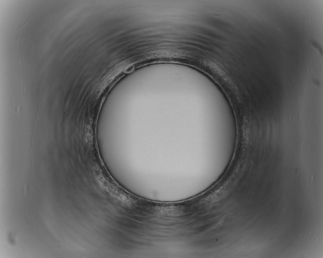 X0000101671025200807241435