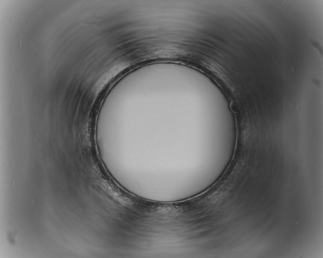 X0000101671026200807241435