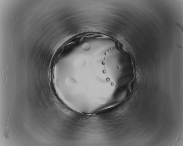 X0000101671028200807241435