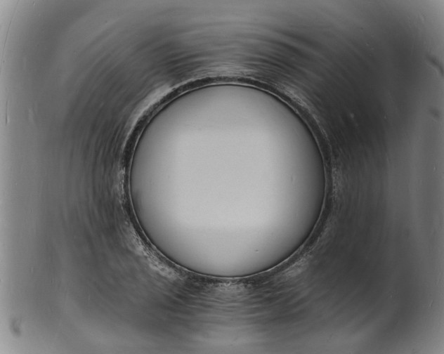 X0000101671029200807241435