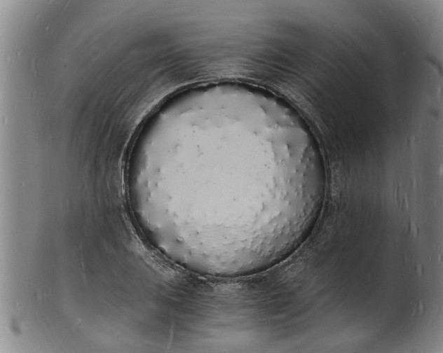 X0000101671031200807241435