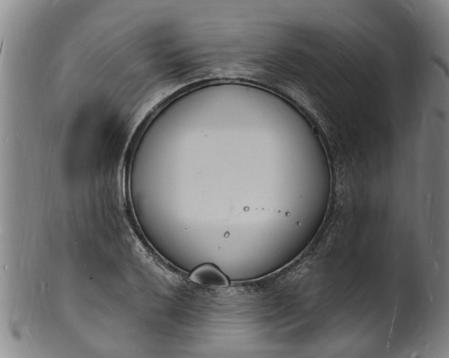 X0000101671032200807241435