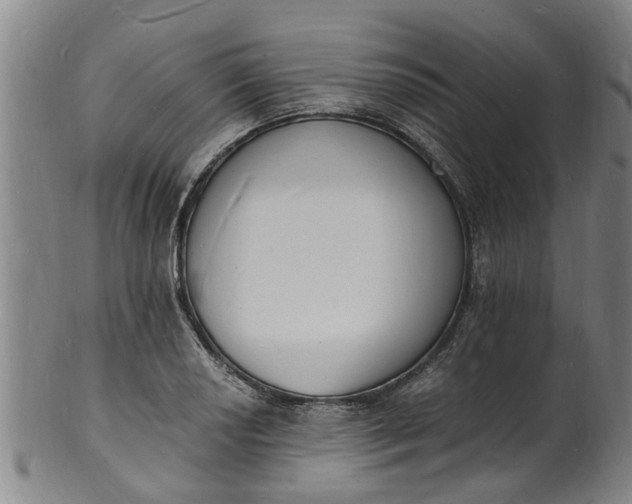 X0000101671034200807241435