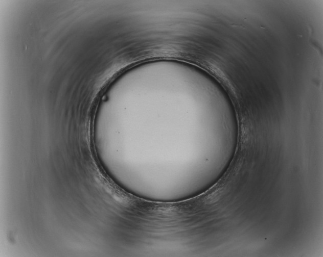 X0000101671035200807241435