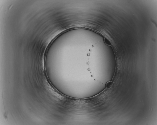 X0000101671036200807241435