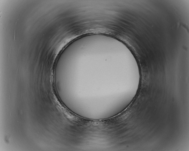 X0000101671040200807241435