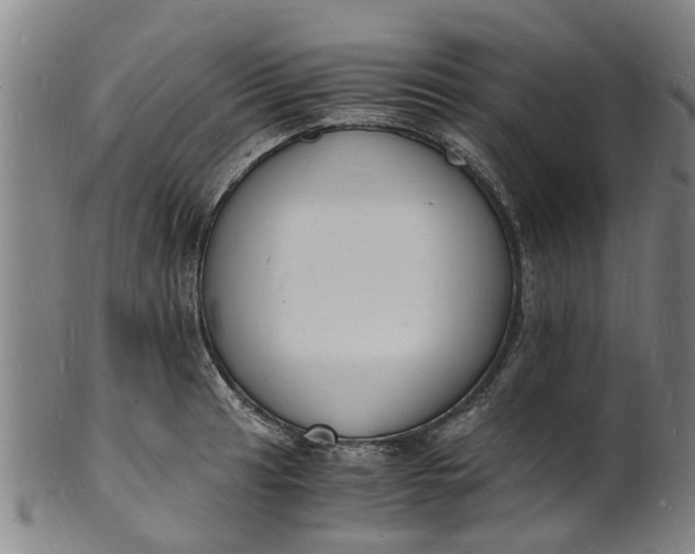 X0000101671041200807241435