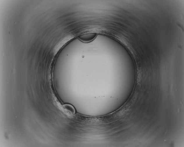X0000101671042200807241435