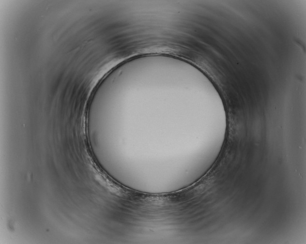 X0000101671044200807241435