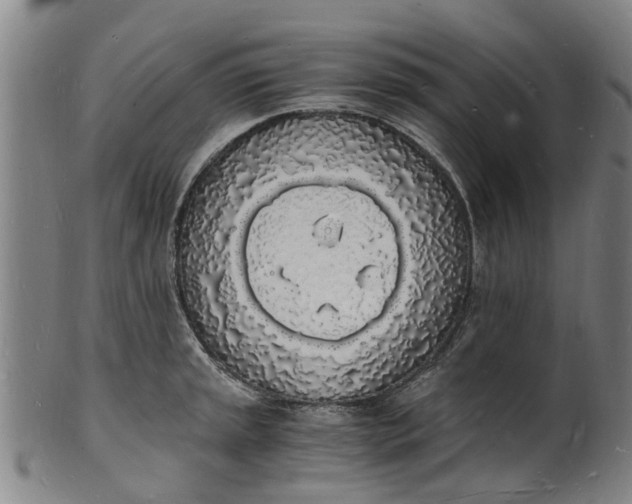 X0000101671045200807241435