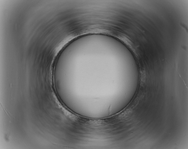 X0000101671046200807241435