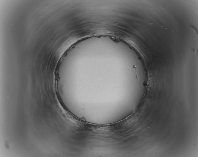 X0000101671047200807241435