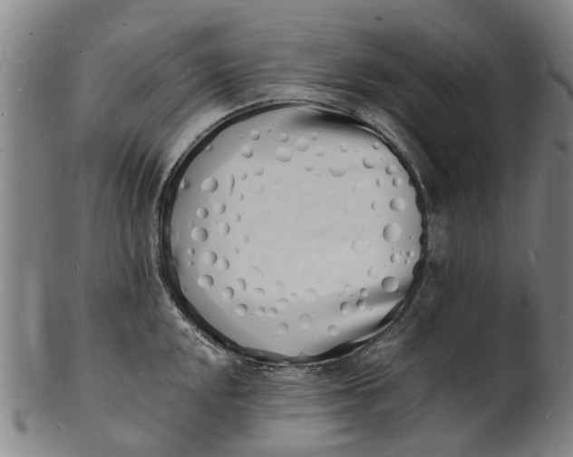 X0000101671048200807241435