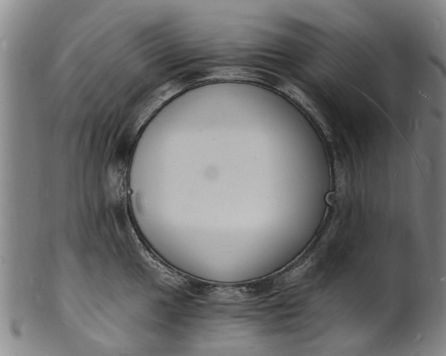 X0000101671049200807241435