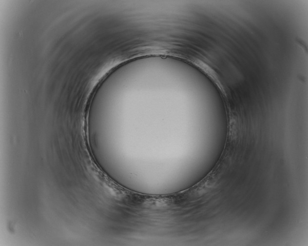 X0000101671051200807241435