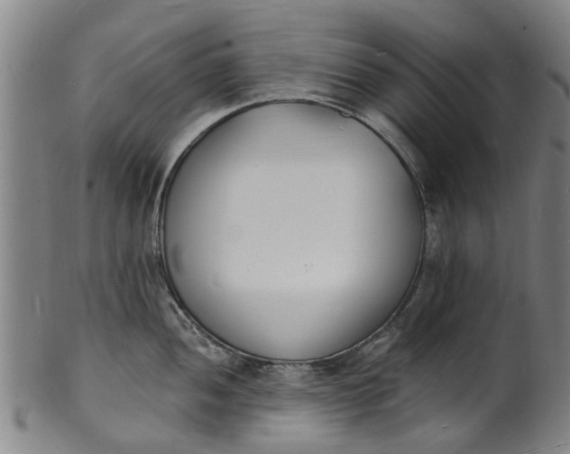 X0000101671052200807241435