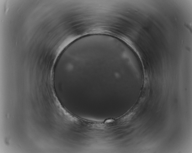 X0000101671053200807241436