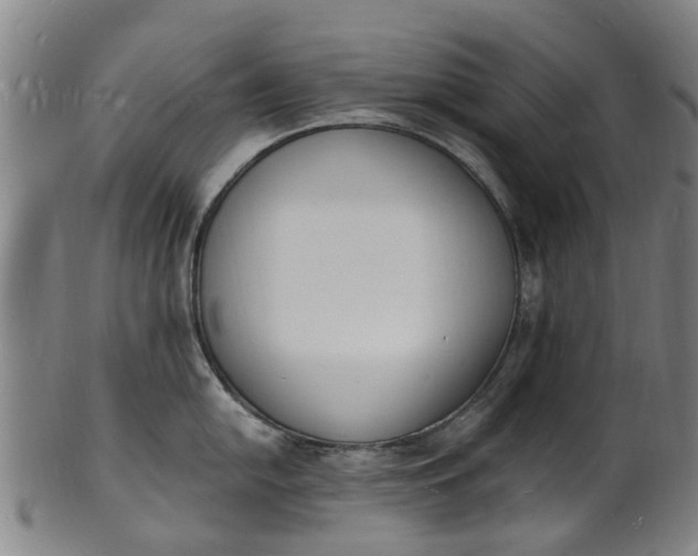 X0000101671054200807241436