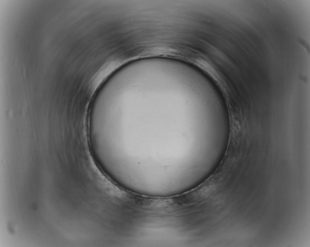 X0000101671055200807241436