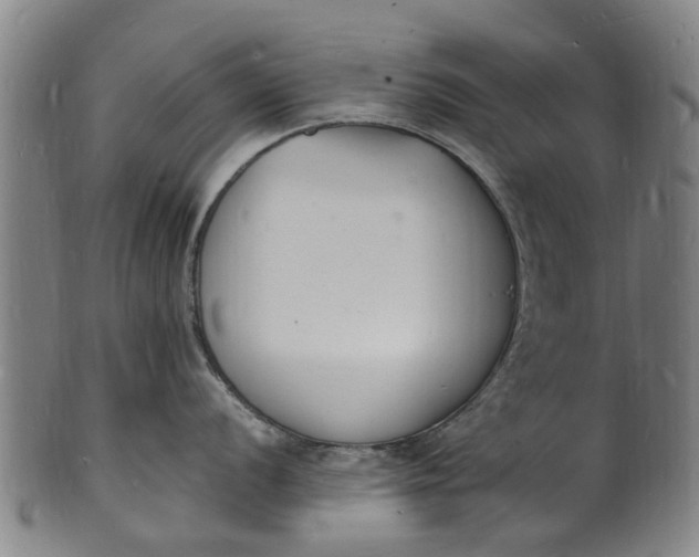 X0000101671056200807241436