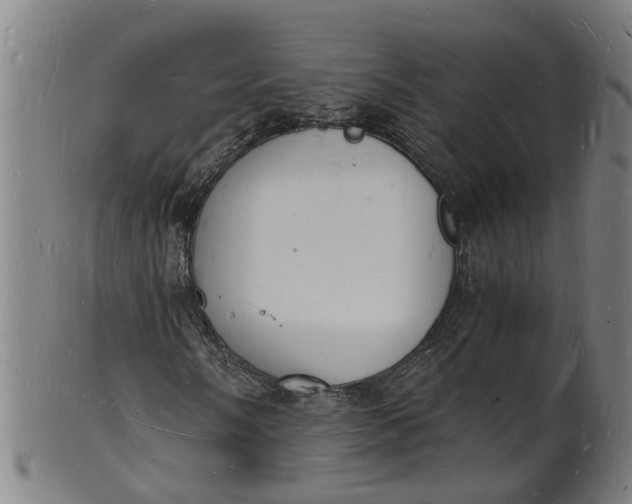 X0000101671058200807241435