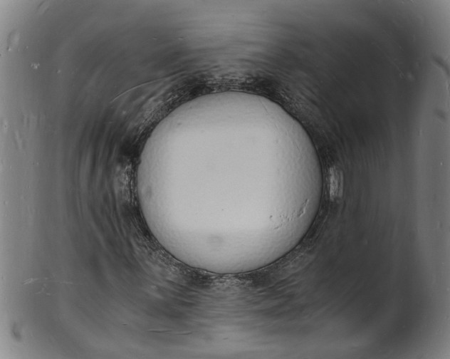 X0000101671059200807241435