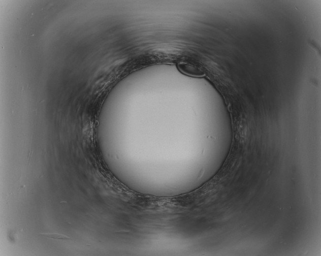 X0000101671061200807241435