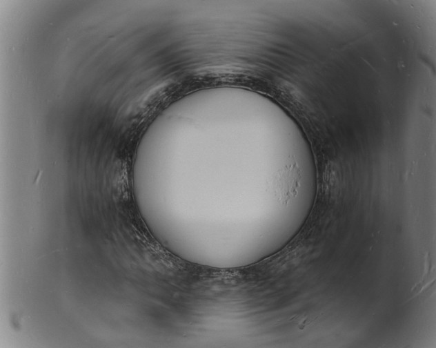 X0000101671062200807241435