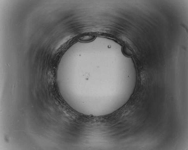 X0000101671064200807241435