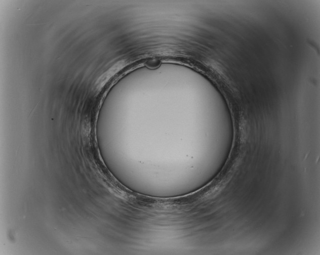 X0000101671065200807241435