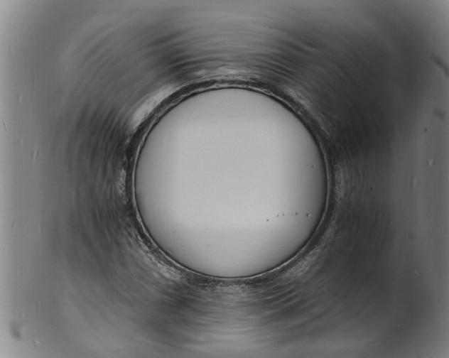 X0000101671066200807241435