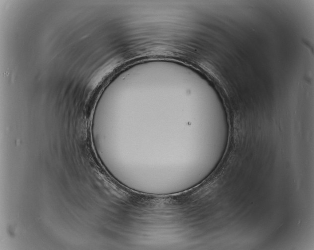 X0000101671067200807241435