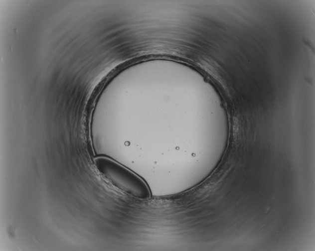 X0000101671068200807241435