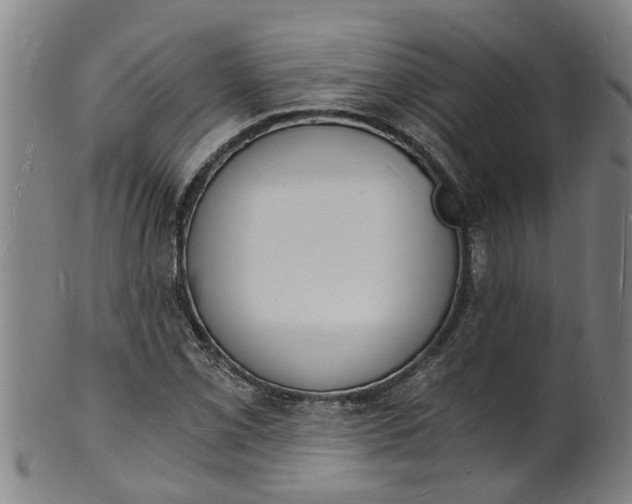 X0000101671069200807241435
