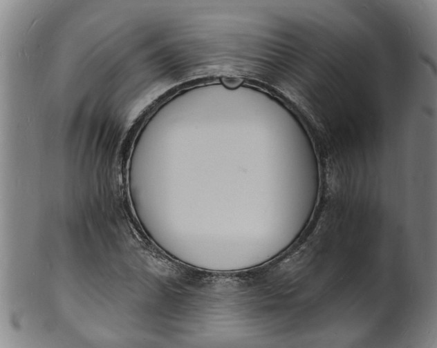 X0000101671070200807241435