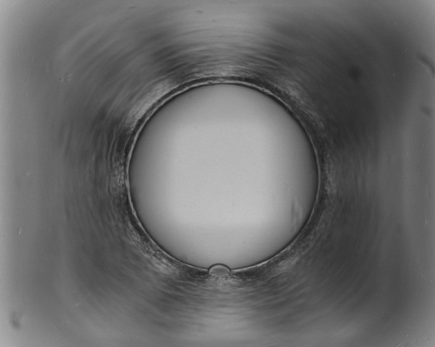 X0000101671073200807241435