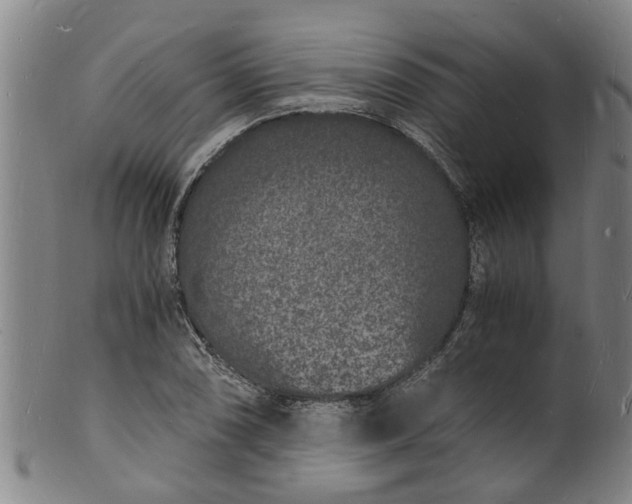 X0000101671074200807241435
