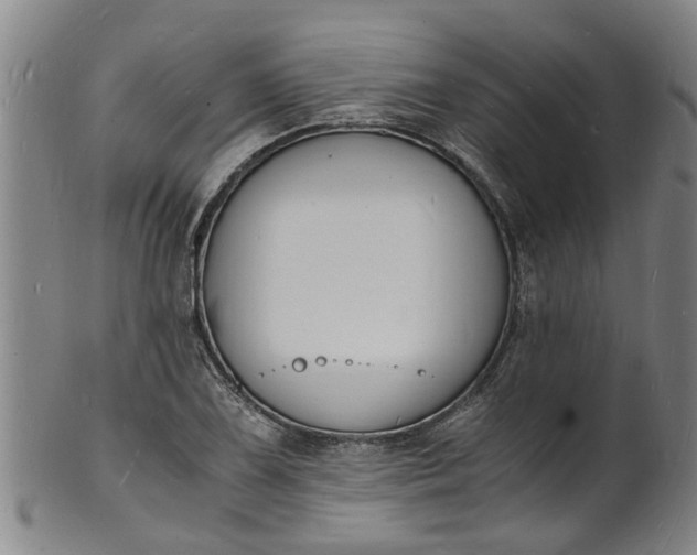 X0000101671075200807241435