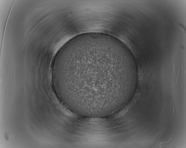 X0000101671077200807241435