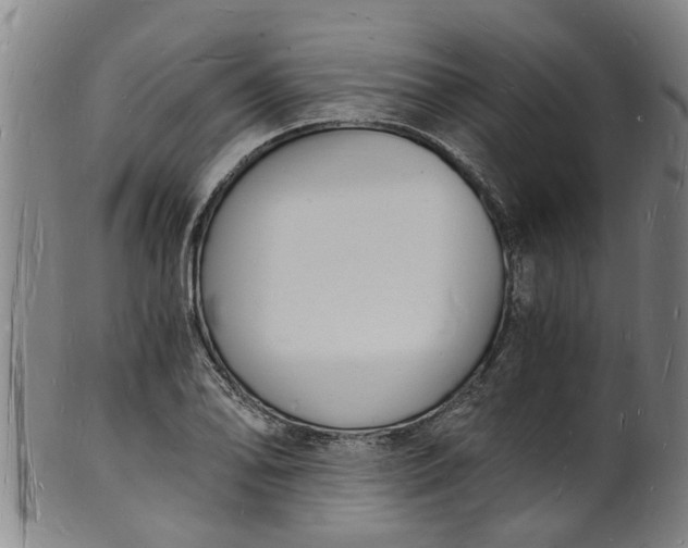 X0000101671078200807241435
